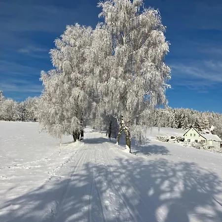 Alda Lejlighed